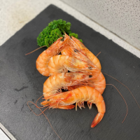 Cooked Crevettes 1kg
