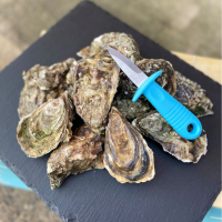 Oyster Special